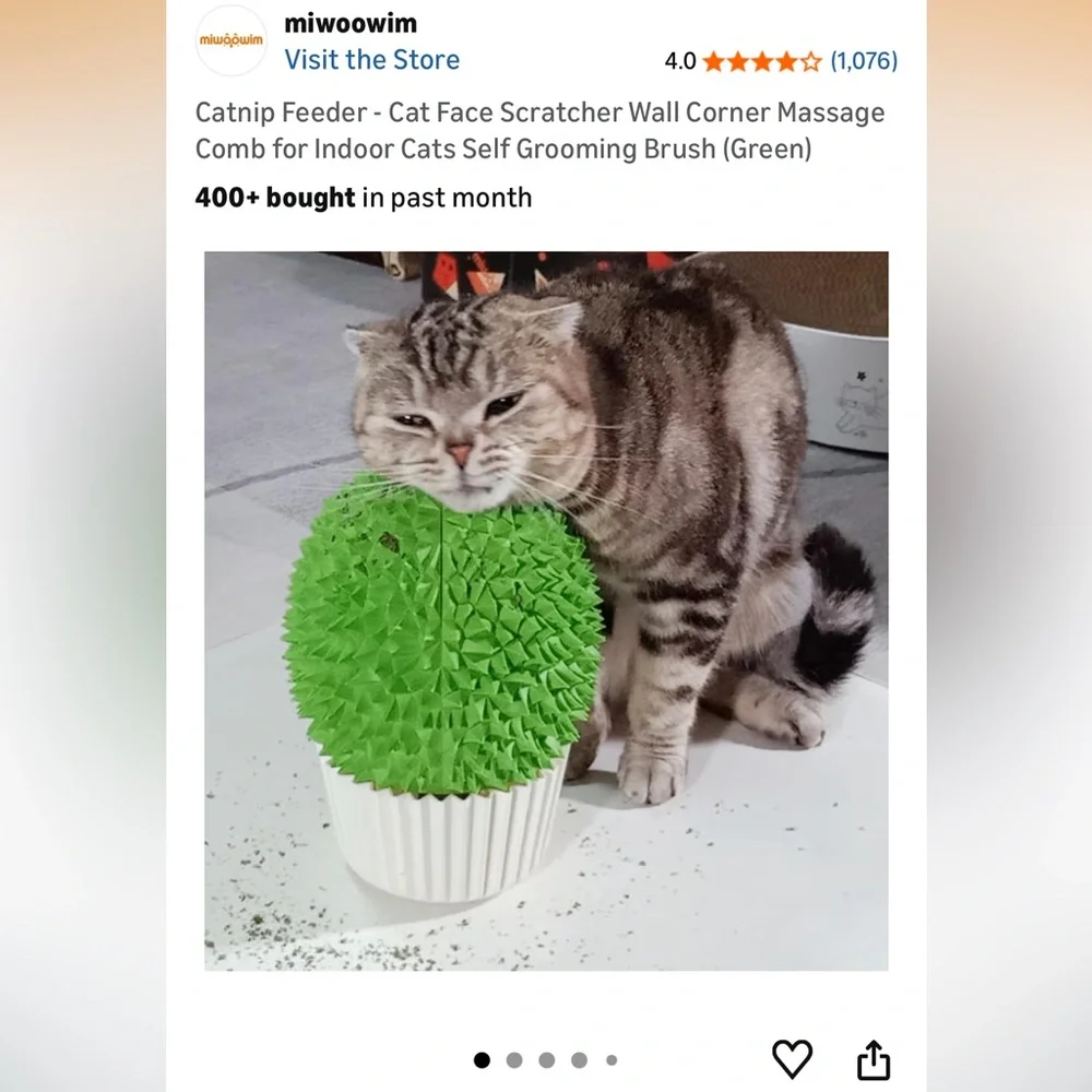 Cat Catnip Self Grooming Brush